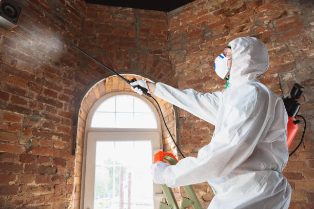 Best Commercial Mold Inspection in USA